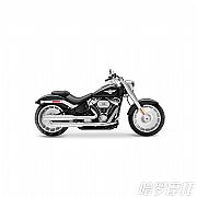 Harley Davidson()Fat Boy